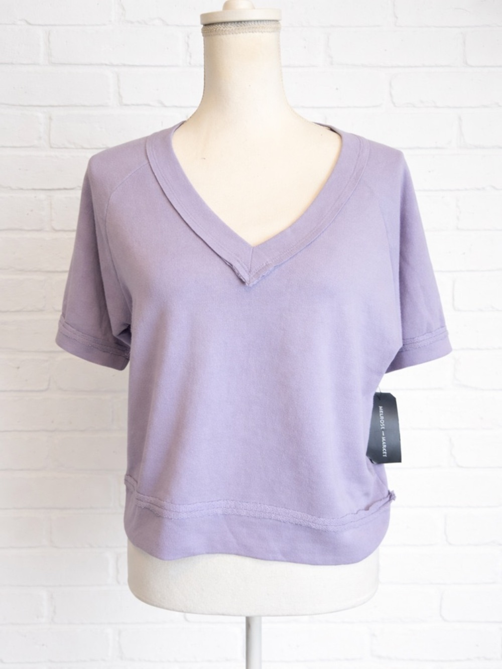 NWT Melrose and Market oversized women's short sleeve top size xs lavender